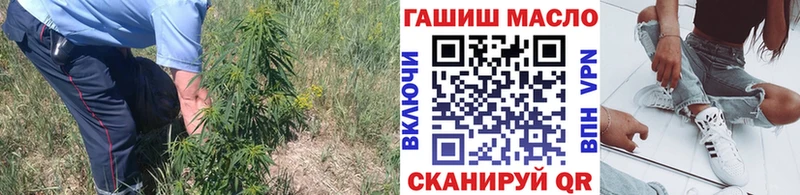 Дистиллят ТГК гашишное масло  Салехард 